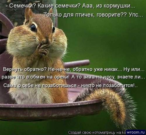 патрик стамп похудел